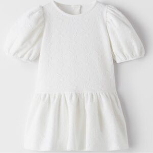 NWT Zara Kids Textured Jacquard Puff-Sleeve Drop-Waist Dress 2-3Y